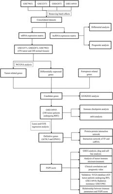 A Ferroptosis-Related Gene Prognostic Index Associated With Biochemical Recurrence and Radiation Resistance for Patients With Prostate Cancer Undergoing Radical Radiotherapy